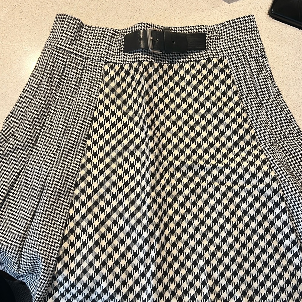 Zara Chalk Skirt